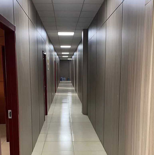 হংকজ লেক মেডিকেল এবং নার্সিং ইন্টিগ্রেশন প্রকল্প